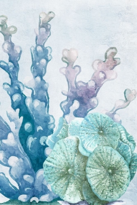 Picture of CORAL DAYS 1