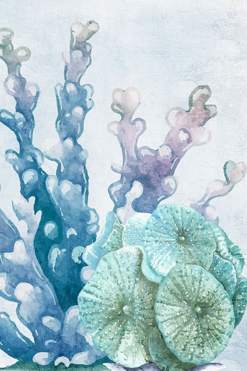 Picture of CORAL DAYS 1