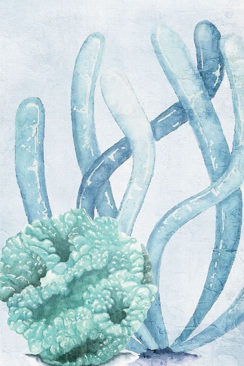 Picture of CORAL DAYS 2