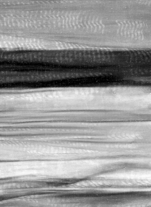 Picture of BLACK AND WHITE HUES 1