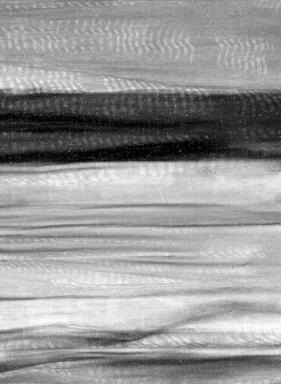 Picture of BLACK AND WHITE HUES 1