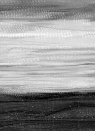 Picture of BLACK AND WHITE HUES 2