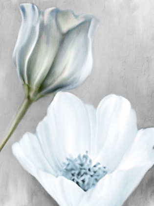 Picture of BLOOMING 2
