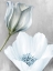 Picture of BLOOMING 2