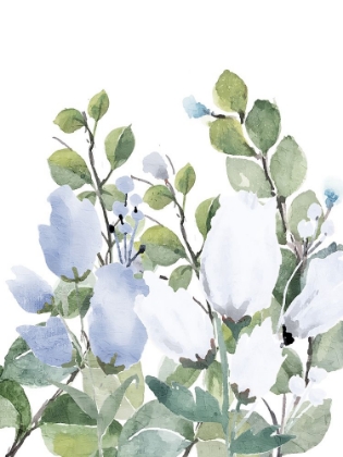 Picture of BLUE SPRING 2