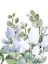 Picture of BLUE SPRING 2