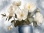 Picture of WHITE FLORALS 1