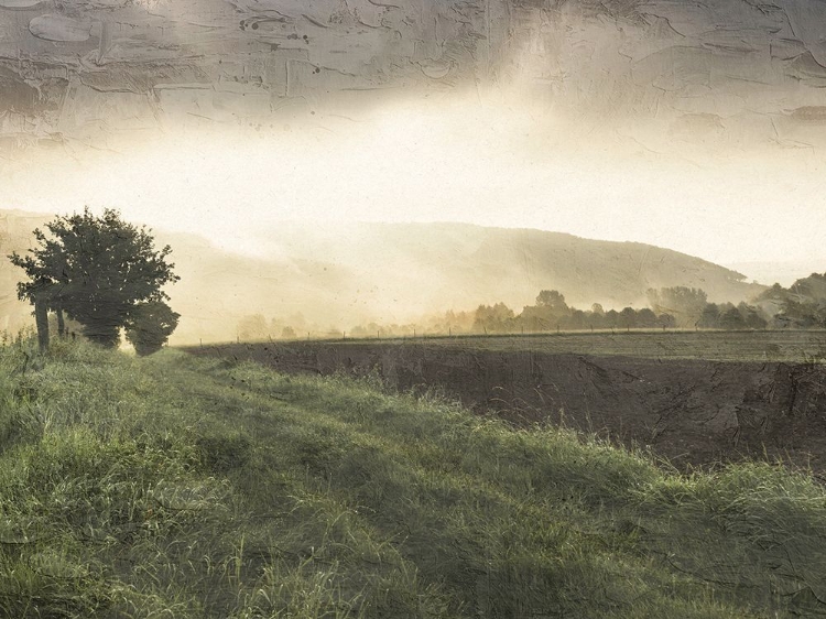 Picture of SUNSET FIELD