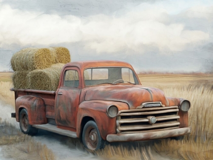 Picture of HAY TIME