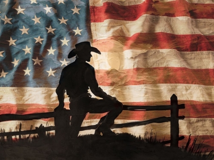 Picture of COWBOY FLAG