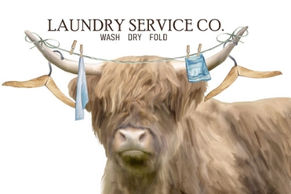 Picture of LAUNDRY SERVICE CO