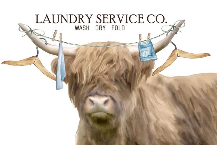 Picture of LAUNDRY SERVICE CO