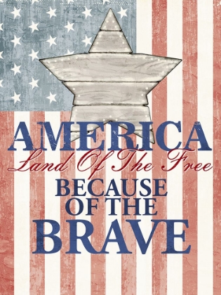 Picture of AMERICA LAND OF THE FREE