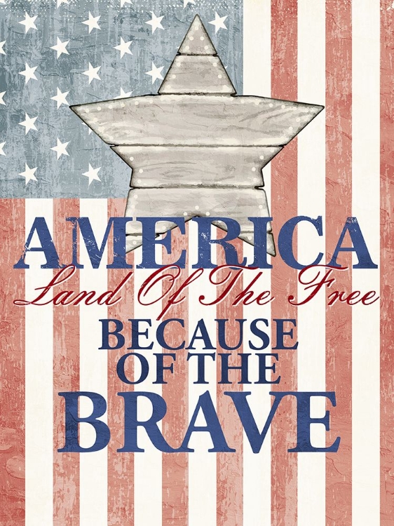 Picture of AMERICA LAND OF THE FREE