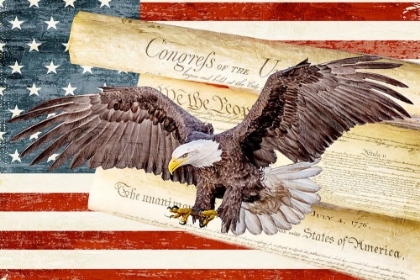 Picture of WE THE PEOPLE EAGLE