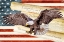 Picture of WE THE PEOPLE EAGLE
