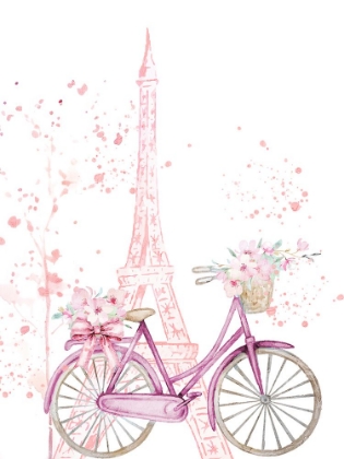 Picture of BOW PARIS 2