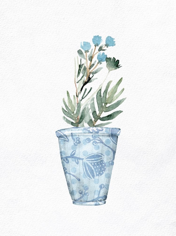 Picture of SPRING BLUE 2