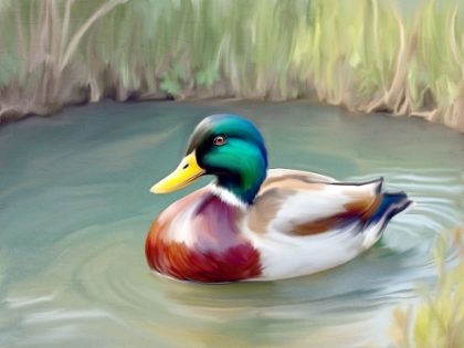 Picture of PEACEFUL SWIM