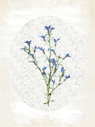 Picture of OVAL FLORAL 1