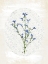 Picture of OVAL FLORAL 1
