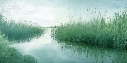 Picture of MARSH