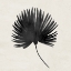 Picture of FANS 1