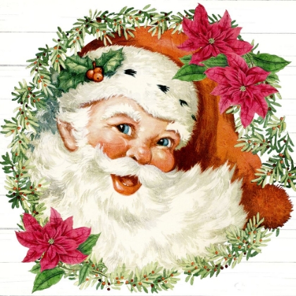 Picture of POINSETTIA SANTA