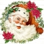 Picture of POINSETTIA SANTA