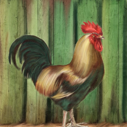 Picture of ROOSTER FENCE