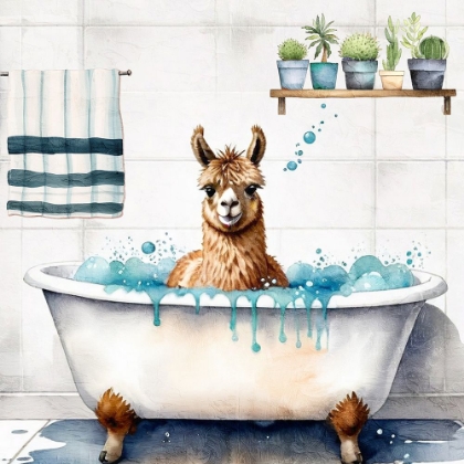 Picture of SUDS 1