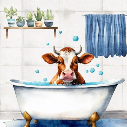 Picture of SUDS 2