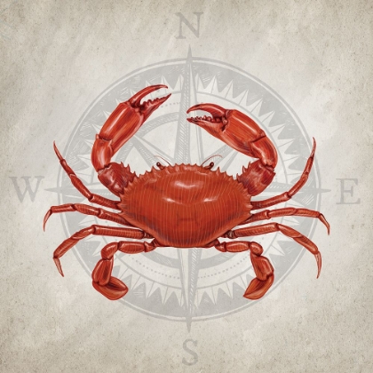 Picture of CRAB