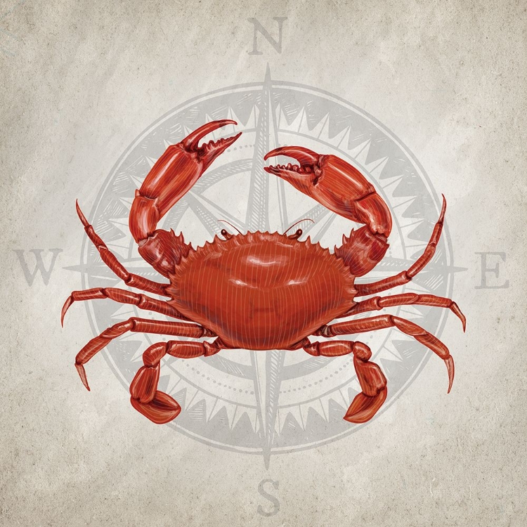 Picture of CRAB