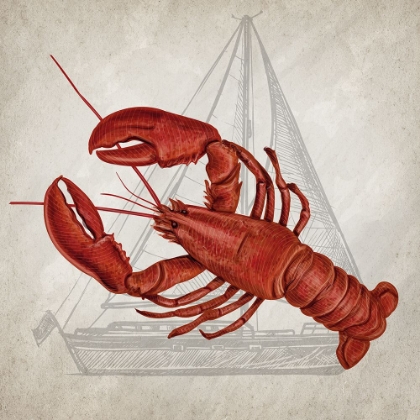 Picture of LOBSTER