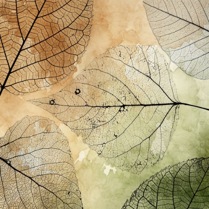 Picture of IMPRINT LEAVES 3