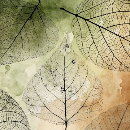 Picture of IMPRINT LEAVES 4