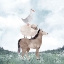 Picture of BLUE SKY FARM MUTED 1