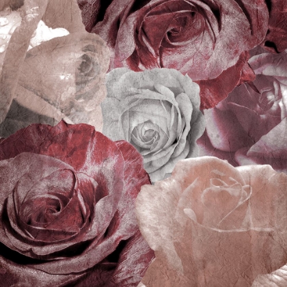 Picture of ROSE BLOOMS 1
