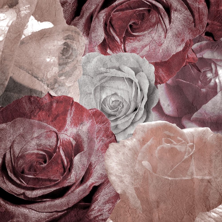 Picture of ROSE BLOOMS 1