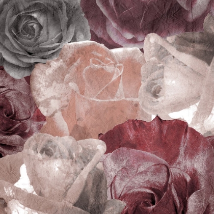 Picture of ROSE BLOOMS 2