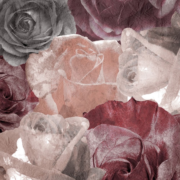 Picture of ROSE BLOOMS 2