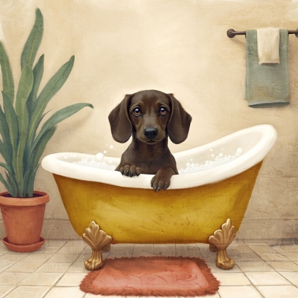 Picture of BUBBLE BUBBLE 2 BROWN DOG