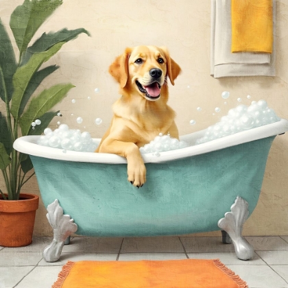 Picture of BUBBLE BUBBLE 3