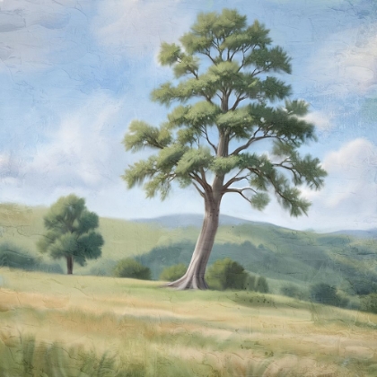 Picture of CLEAR DAY