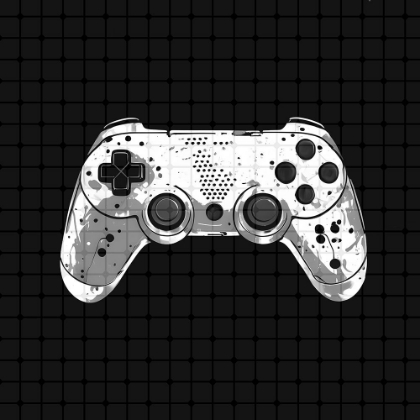 Picture of BLACK AND WHITE GAMER 1