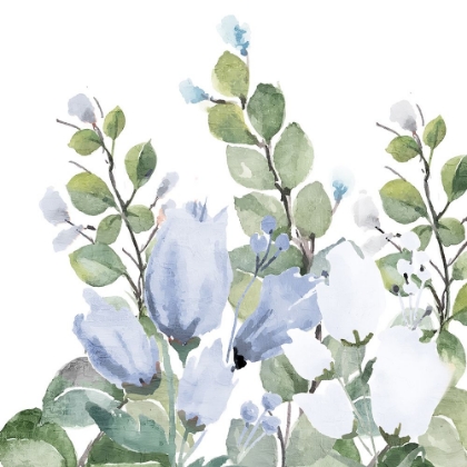 Picture of BLUE SPRING 1