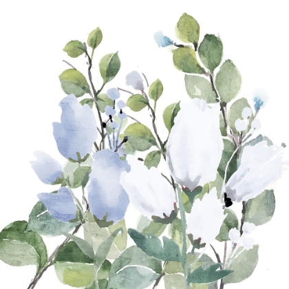 Picture of BLUE SPRING 2