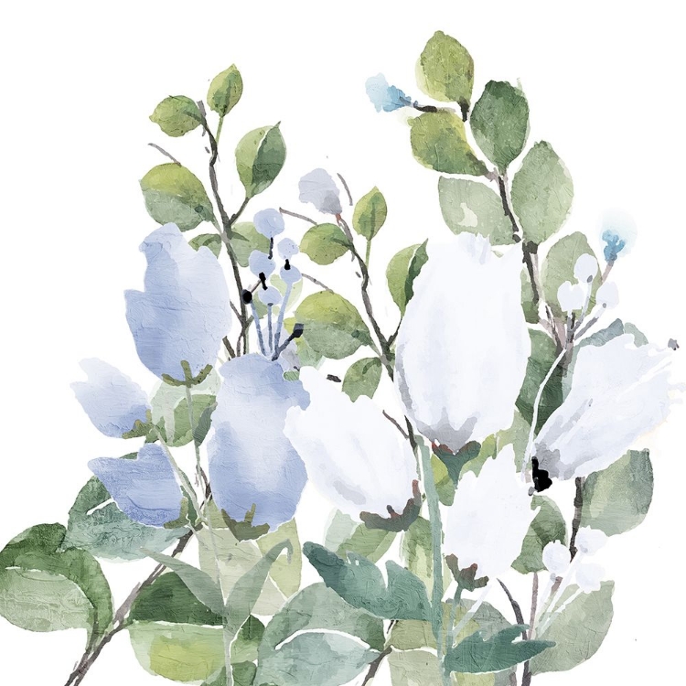 Picture of BLUE SPRING 2