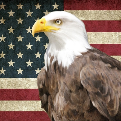 Picture of OLD GLORY